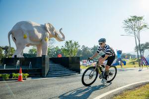 BIB: 
                            <button type="button" onclick="openModal(26183013)" class="btn btn-primary btn-sm float-right btn-popup" data-toggle="modal" data-target=".modal-high-quality">
                        <i class="fas fa-shopping-cart"></i> Add to Cart
                    </button>
                                            <button type="button" onclick="isThisMe(26183013, true)" class="btn btn-success btn-sm float-right btn-popup btn-isme hidden" data-toggle="tooltip" data-placement="bottom" title="นี่คือรูปของคุณใช่ไหม คลิกที่นี่เพื่อเอาเข้าอัลบั้ม">
                        <i class="fas fa-plus"></i> Add to album
                    </button>
                    <button type="button" onclick="isThisMe(26183013, false)" class="btn btn-warning btn-sm float-right btn-popup btn-isnotme hidden">
                        <i class="fas fa-ban"></i> Remove from album
                    </button>